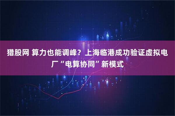 猎股网 算力也能调峰？上海临港成功验证虚拟电厂“电算协同”新模式