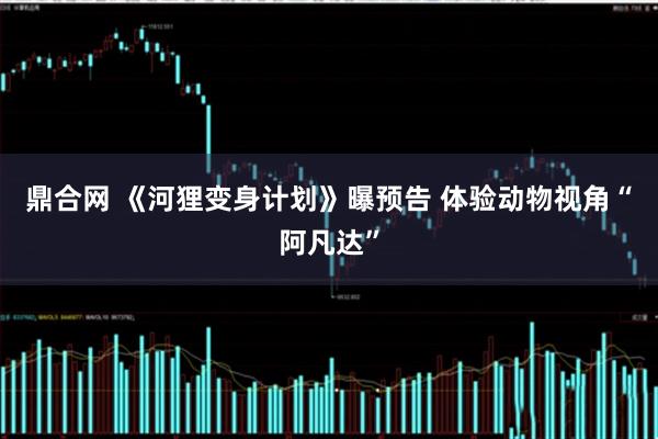 鼎合网 《河狸变身计划》曝预告 体验动物视角“阿凡达”