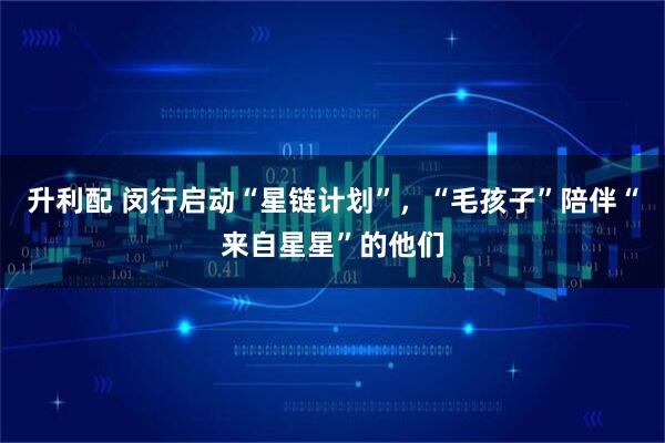 升利配 闵行启动“星链计划”，“毛孩子”陪伴“来自星星”的他们