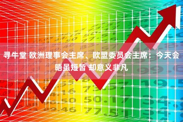 寻牛堂 欧洲理事会主席、欧盟委员会主席：今天会晤虽短暂 却意义非凡
