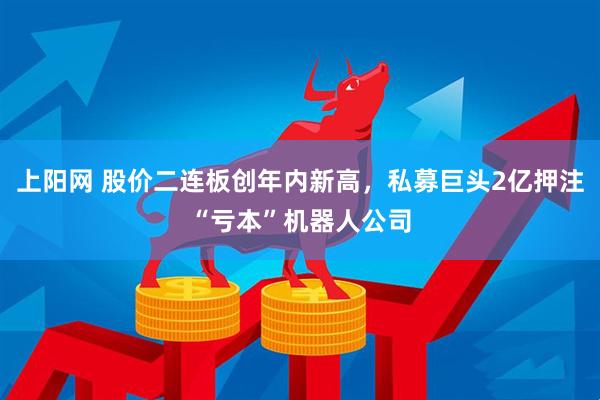 上阳网 股价二连板创年内新高，私募巨头2亿押注“亏本”机器人公司