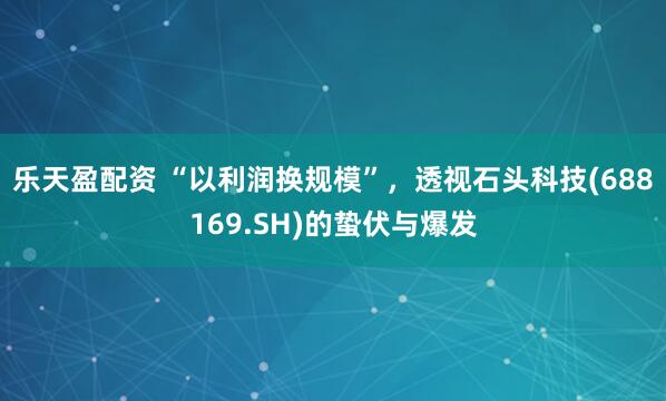乐天盈配资 “以利润换规模”，透视石头科技(688169.SH)的蛰伏与爆发