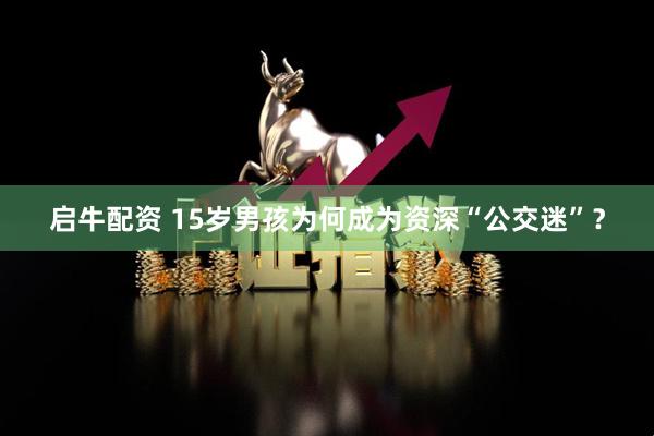 启牛配资 15岁男孩为何成为资深“公交迷”？