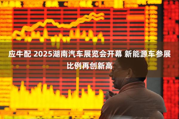 应牛配 2025湖南汽车展览会开幕 新能源车参展比例再创新高